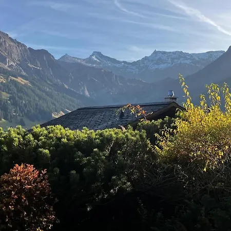Skirennen Von Der Terrasse Mitverfolgen * Adelboden