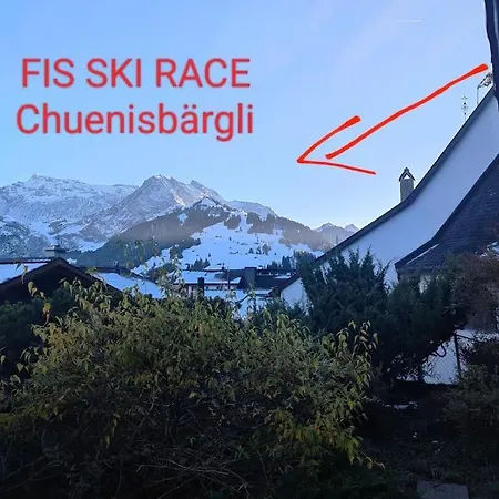 公寓 Skirennen Von Der Terrasse Mitverfolgen