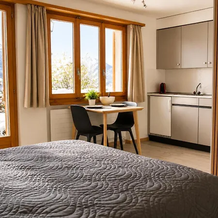 Skirennen Von Der Terrasse Mitverfolgen אדלבודן