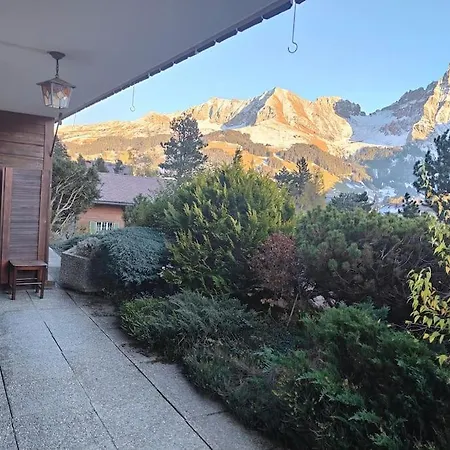 Skirennen Von Der Terrasse Mitverfolgen *