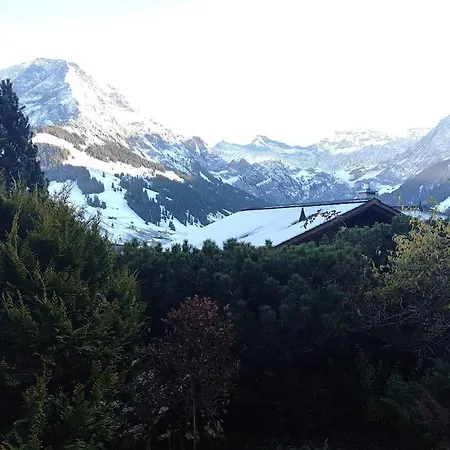 Apartment Skirennen Von Der Terrasse Mitverfolgen *